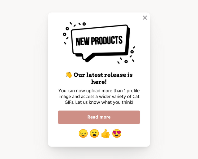 Screenshot of Product release notification template