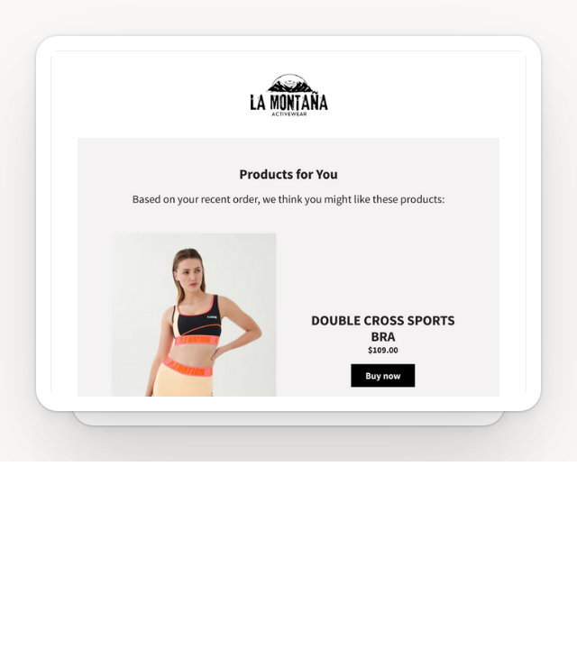 Screenshot of Shopify nudge to second order  template